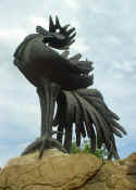 gallo nero